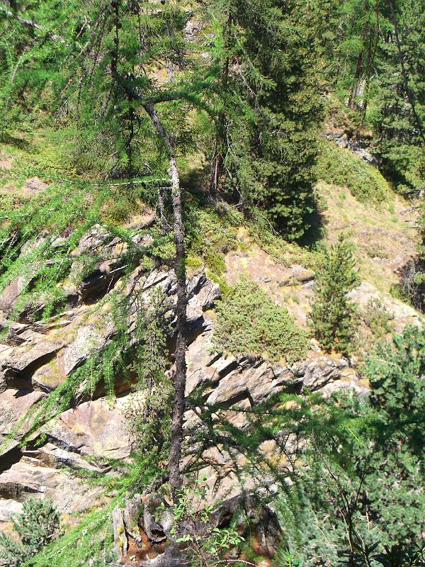 Gornerschlucht 2006 066 